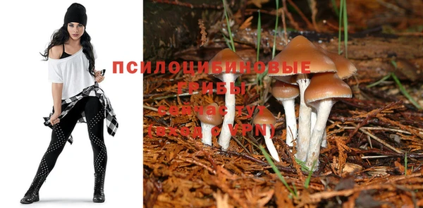 сатива Армянск