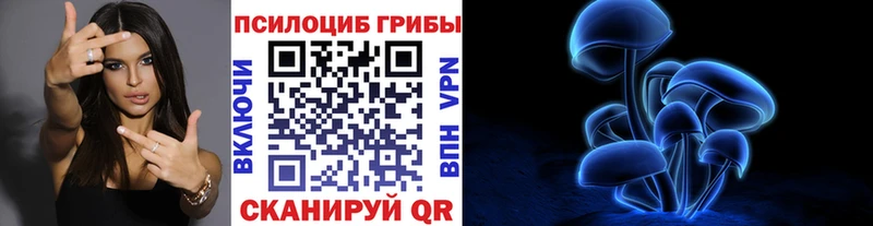 Псилоцибиновые грибы ЛСД  Балашов 
